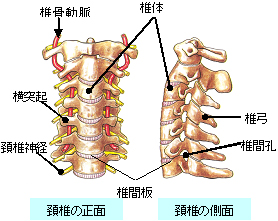 頚椎症