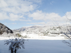 雪と猪汁