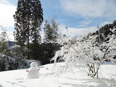 雪と猪汁